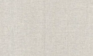42070A Scope - Mushroom