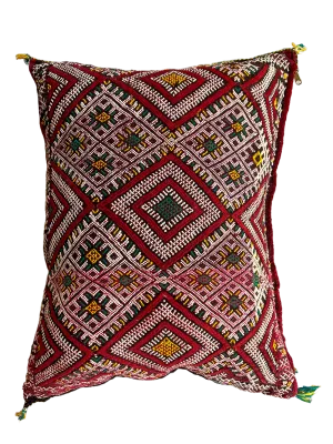 Ain Leuh Pillow - Eye
