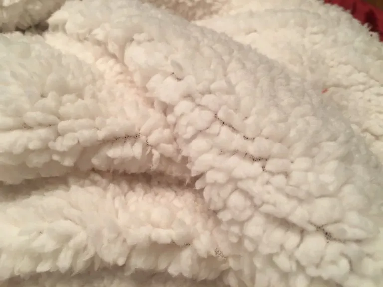 Alpha Epsilon Pi Sherpa Lined Blanket