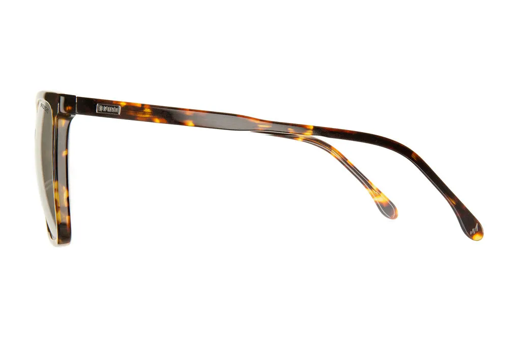 Blue Light Melody | Gloss Tortoise