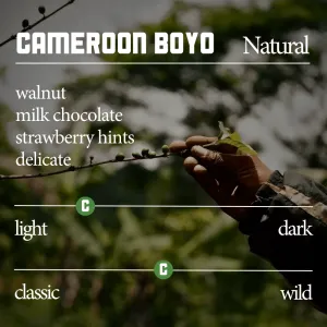 Cameroon Boyo Natural