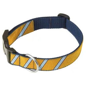 Golden Valley - Dog Collar