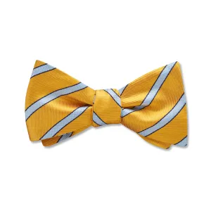 Golden Valley - Kids' Bow Ties