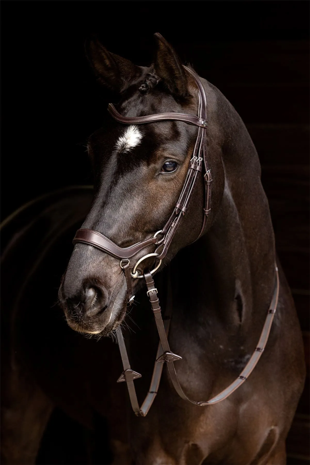 LeMieux Arika Drop Bridle