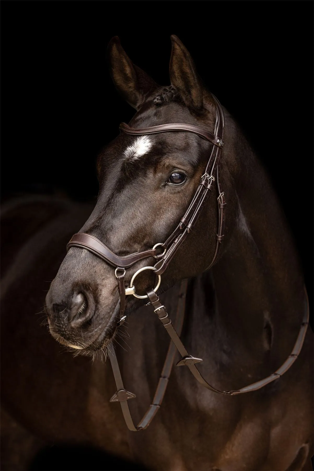LeMieux Arika Drop Bridle
