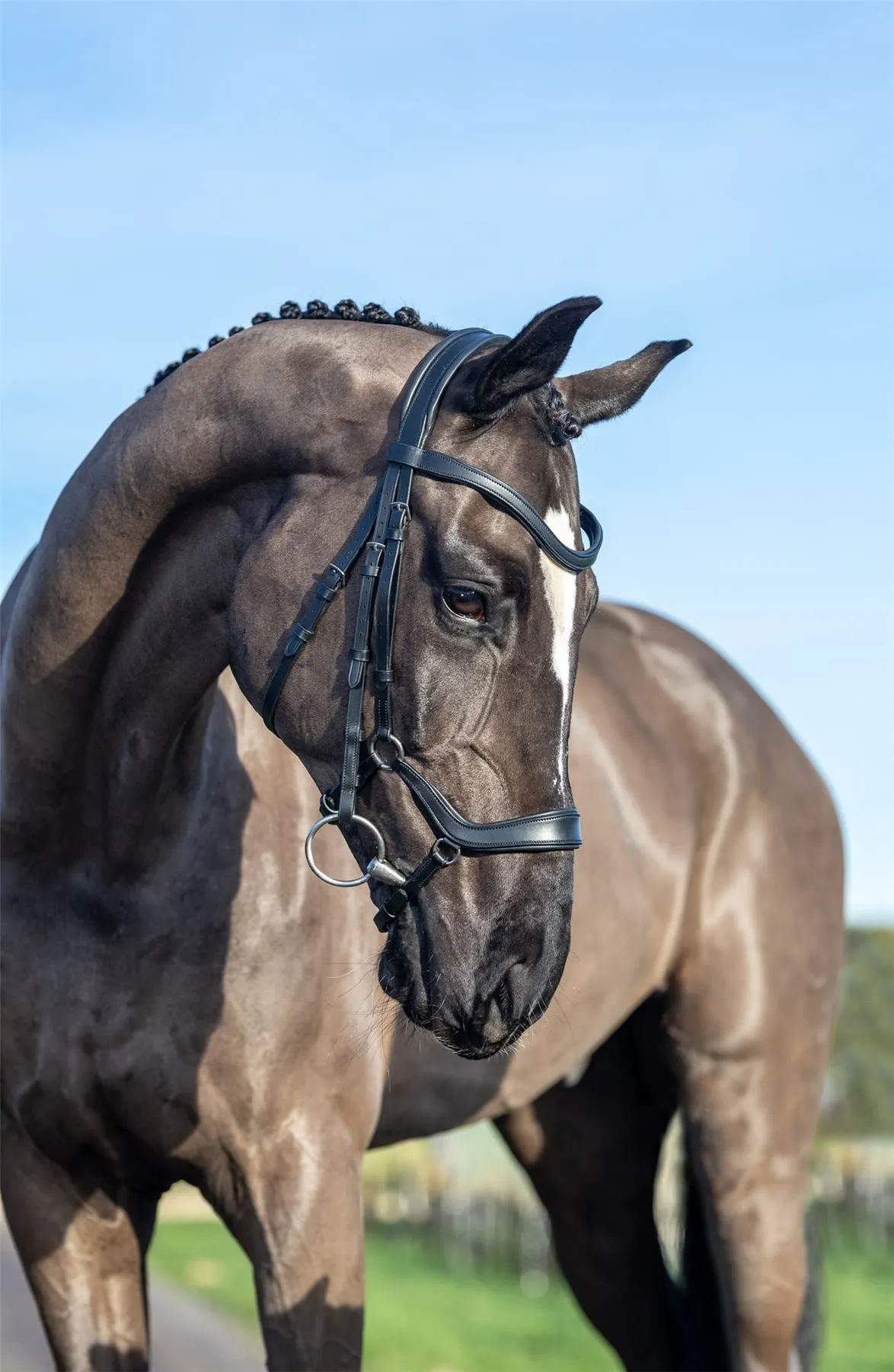 LeMieux Arika Drop Bridle