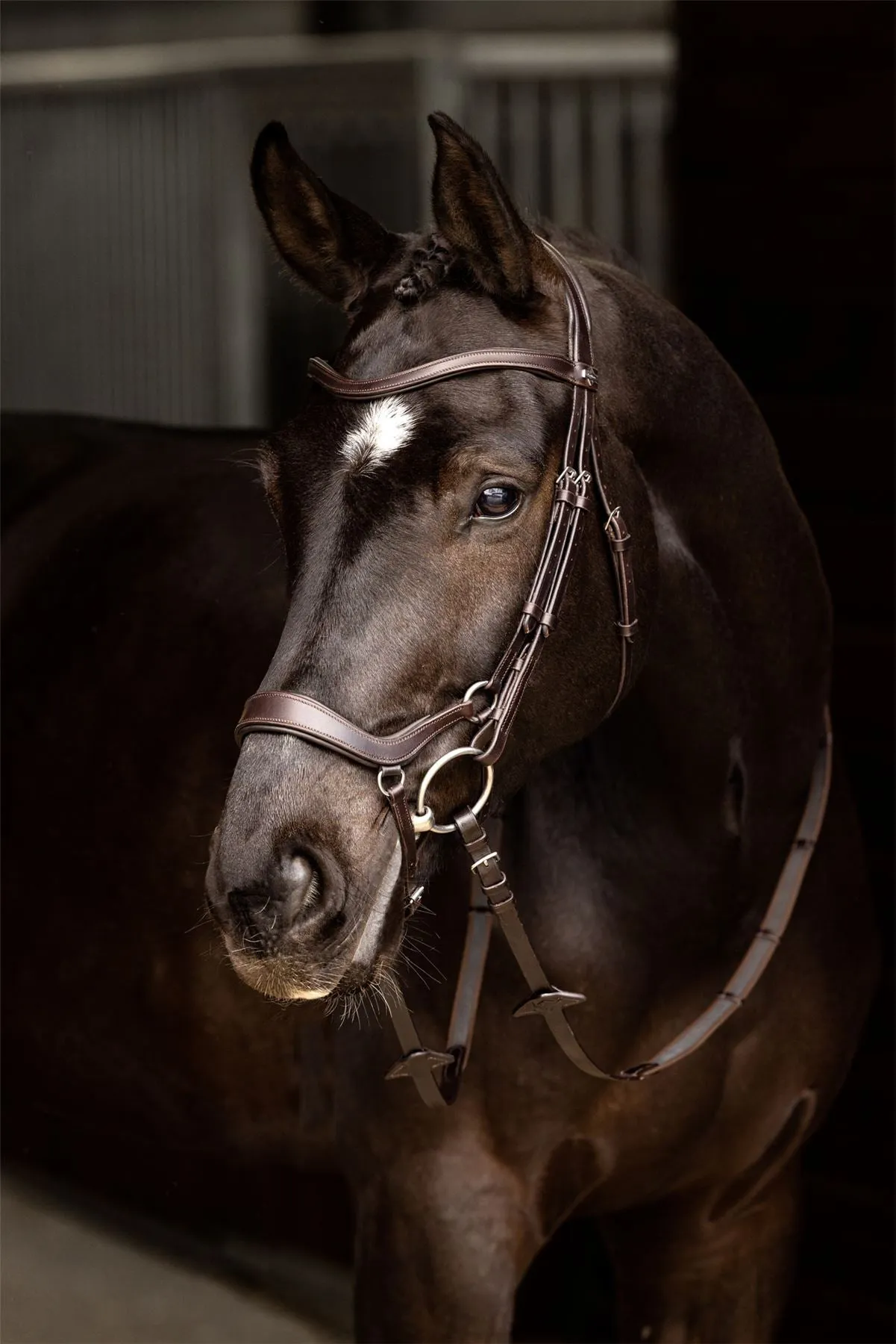 LeMieux Arika Drop Bridle