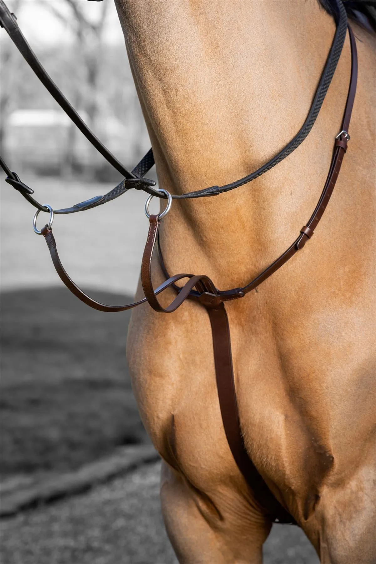 LeMieux Arika Running Martingale