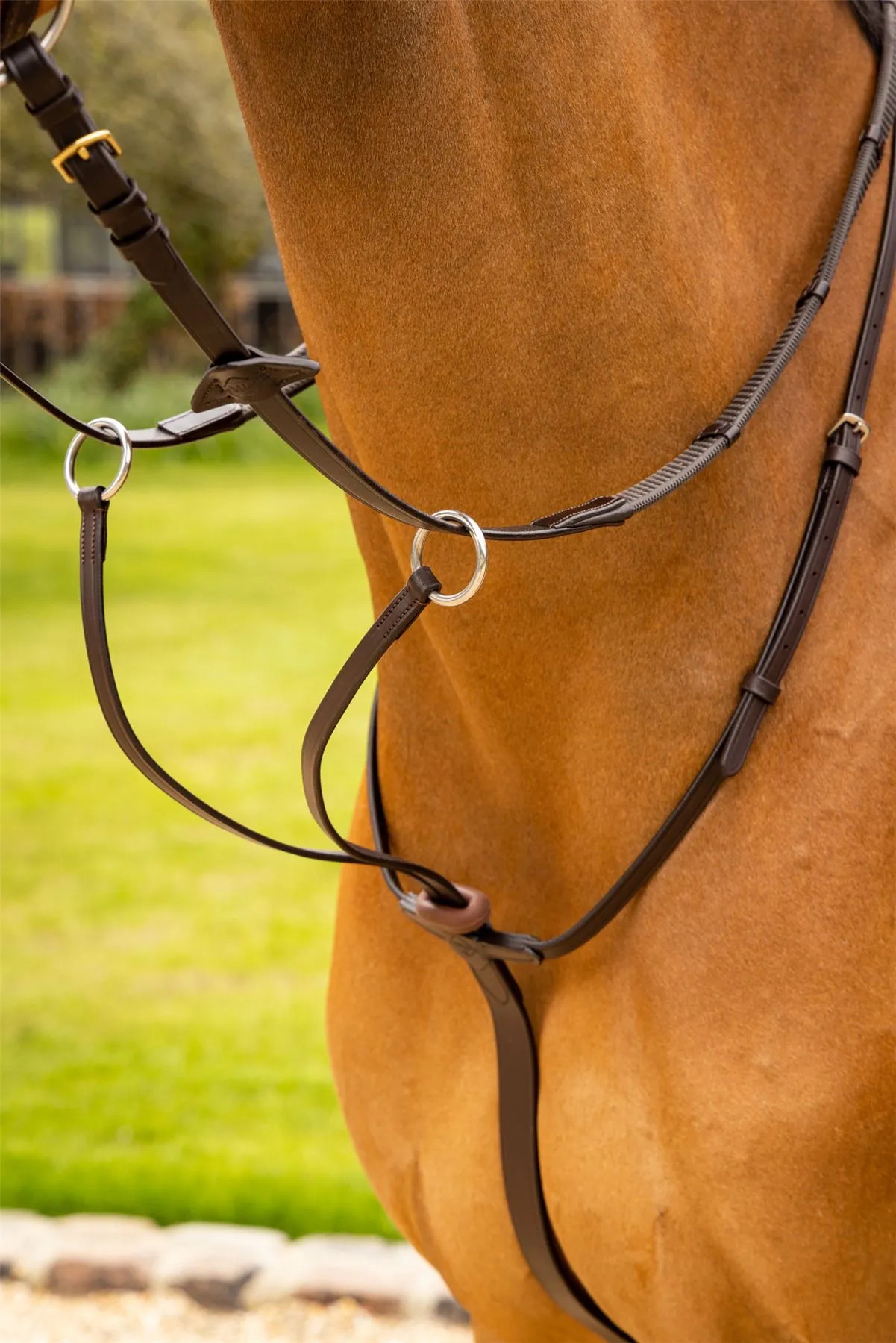 LeMieux Arika Running Martingale