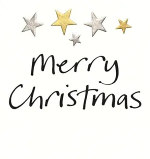 Merry Christmas Stars By Lucilla Lavender