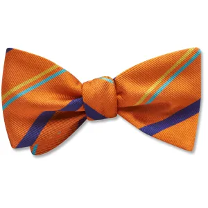River Nore - Dog Bow Ties