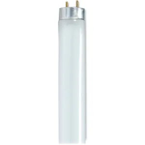 Satco 32-watt T8 Fluorescent Bulbs