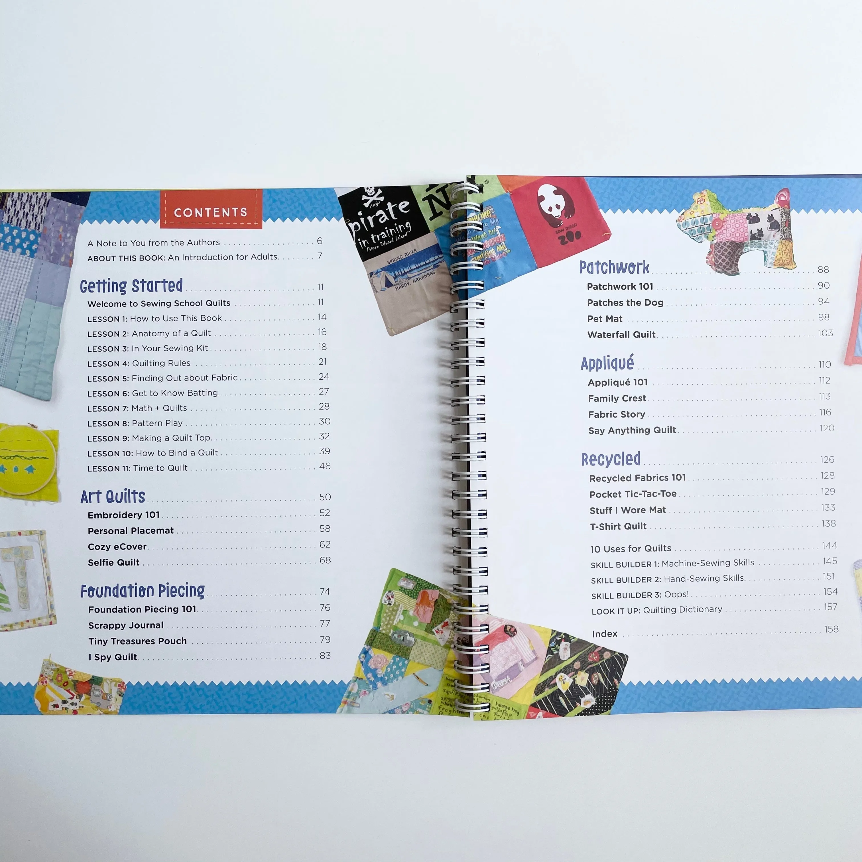 Sewing School Quilts - Amie Petronis Plumley   Andria Lisle