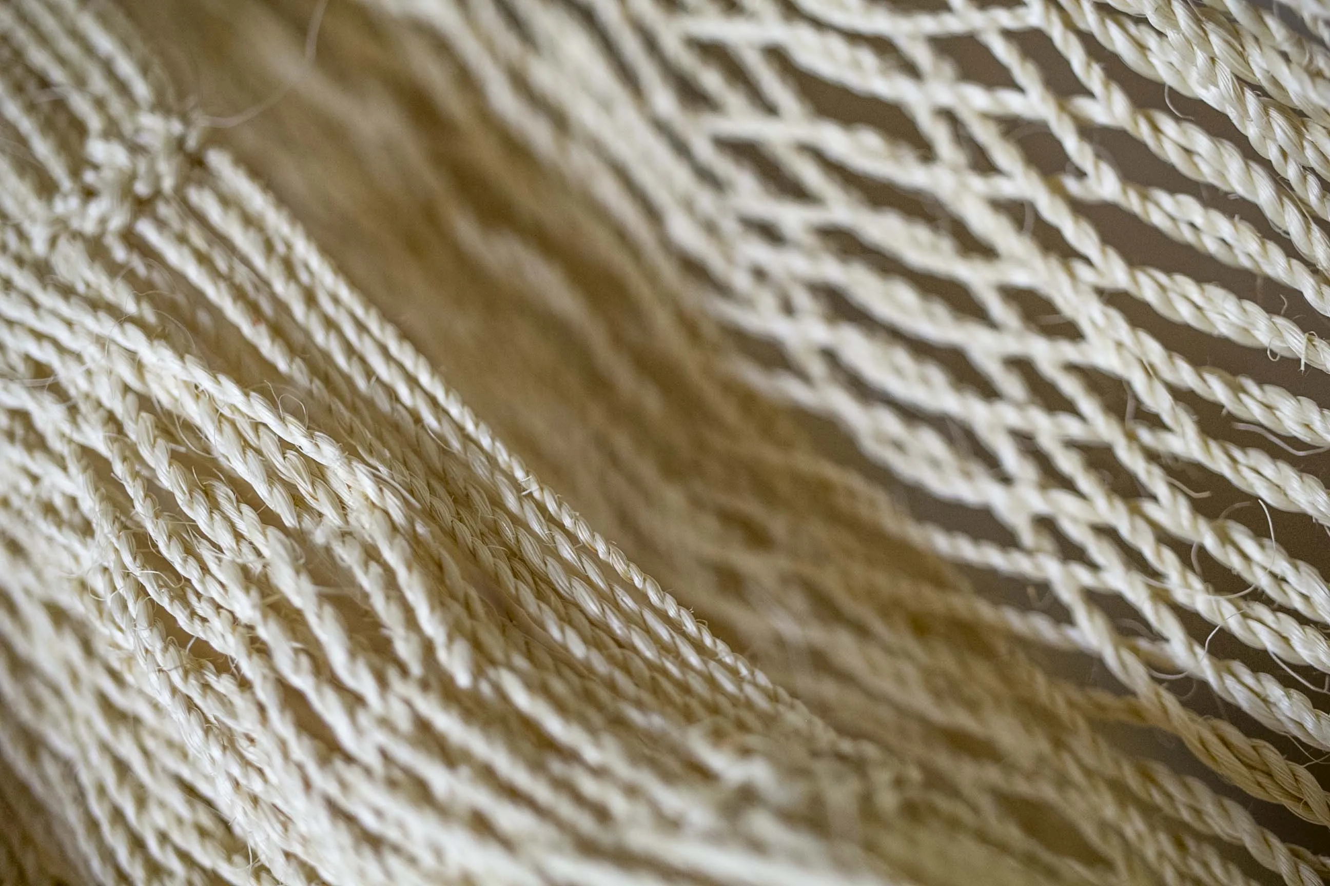 Suum Hammock