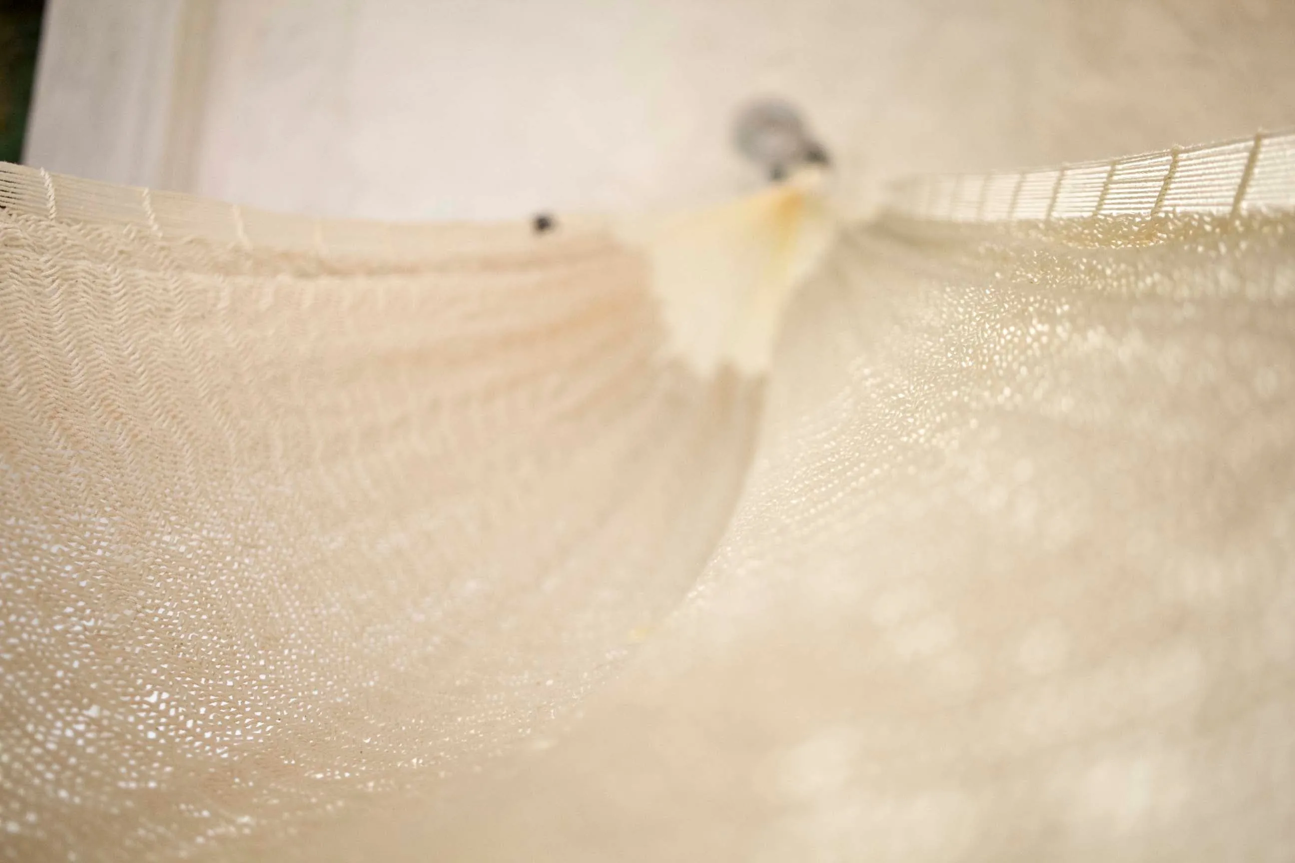 Suum Hammock