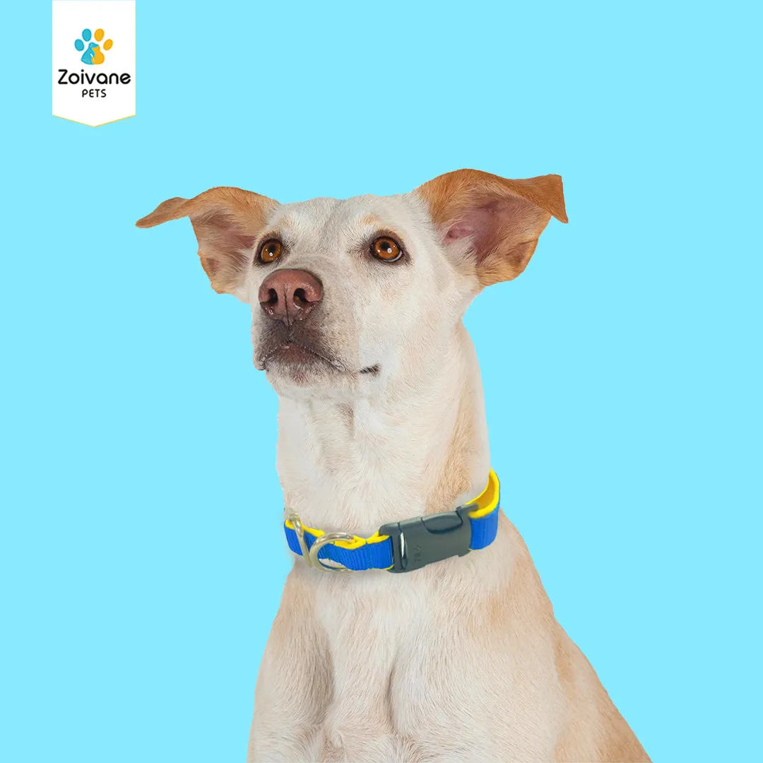 Zoivane Pets Nylon Padded Collar for Dogs | Size L| Strong, Comfy, and Built to Last! - Color may vary