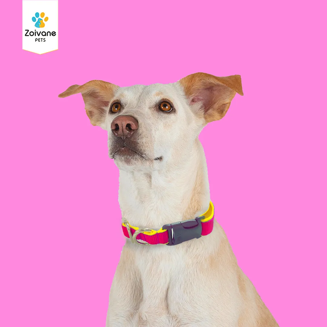 Zoivane Pets Nylon Padded Collar for Dogs | Size L| Strong, Comfy, and Built to Last! - Color may vary